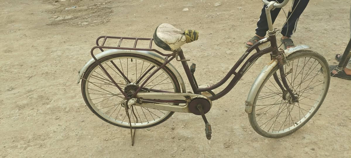 بايسكل بناتي للبيع قيم بما يرضى الله به


**إذا كنت صاحب هذا الإعلان وتريد حذفه لأي سبب، رجاءا أرسل رسالة إلى الدعم الفني**