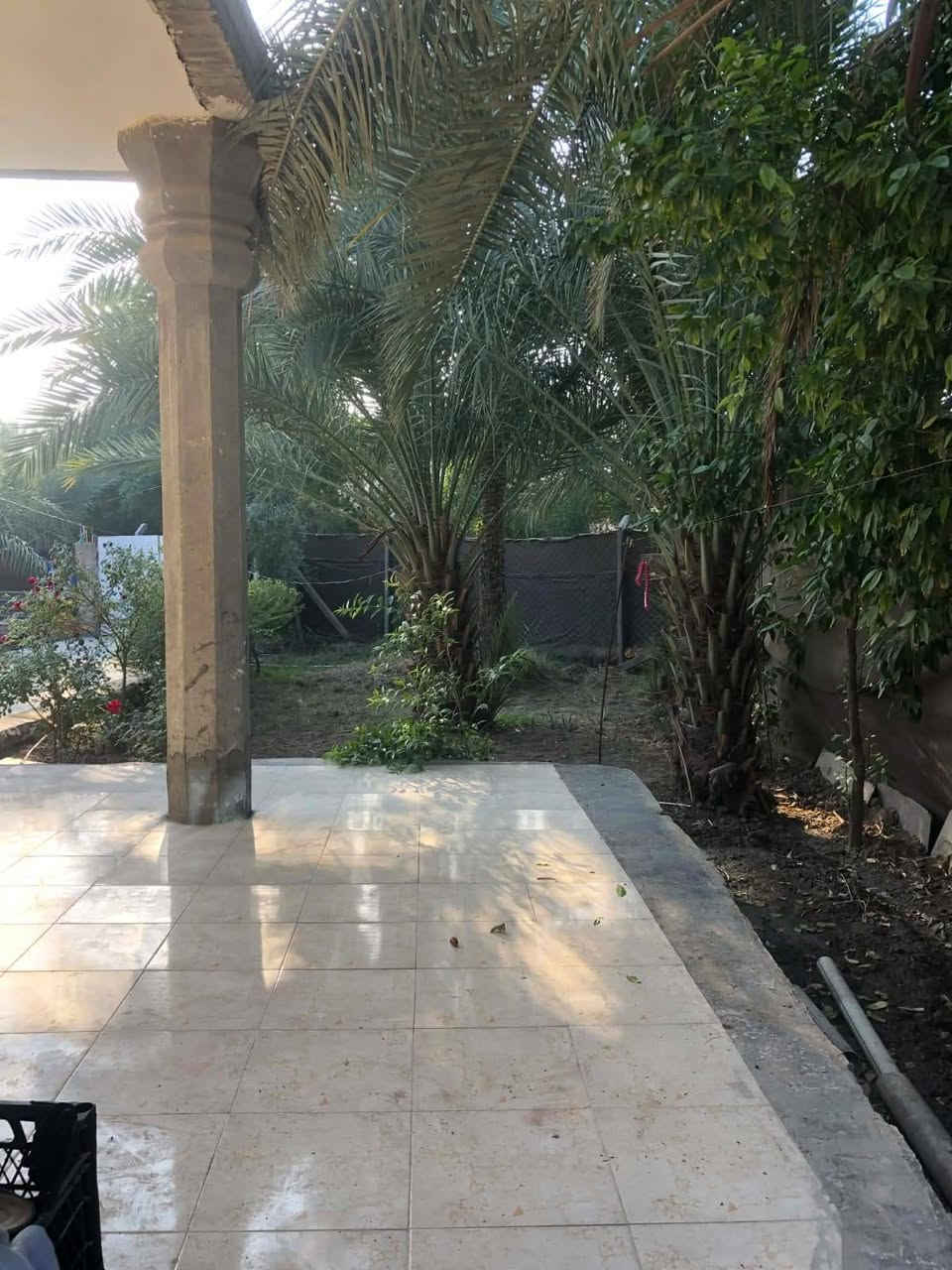 سلام عليكم مزرعه للبيع المساحه 824طابو زراع سند25بسمي تتكون من بيت غرفتين نوم كبيرات وهول وكلدور ومطبخ كبير وصاله كبيره البيت جاهز تجي تسكن في الله شاهد والسعر تعال الى الخاص او وساب او هاتف *********** العنوان وردية خارج قريب الى شارع العام 100متر خلف الاسواق الاخوه
