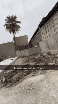 حي تونس الزراعي • ١٦١م • طابو سند ٢٥