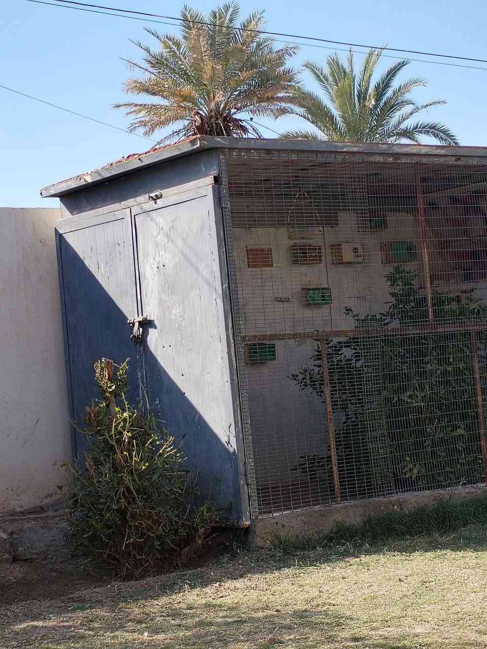 قفص للبيع تلاثه في ثنين قفص درجه اوله كلشي يرهم انواع الطيور حته مخزن يرهم لهل لمحلات***********سعر خابر وتدلل
