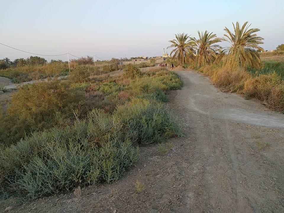 السلام عليكم
قطعة أرض للبيع 
طابو صرف مساحه 400 متر
متوفره كل الخدمات ماء + تبليط + كهرباء
العنوان گرمة علي المسحب النصرانية قرية ابوملح قرب الجسر
 رقم الهاتف ابو كرار : ***********
موقع القطعه:
https://goo.gl/maps/bdX6qDm81SsZWQAN7?g_st=atm
