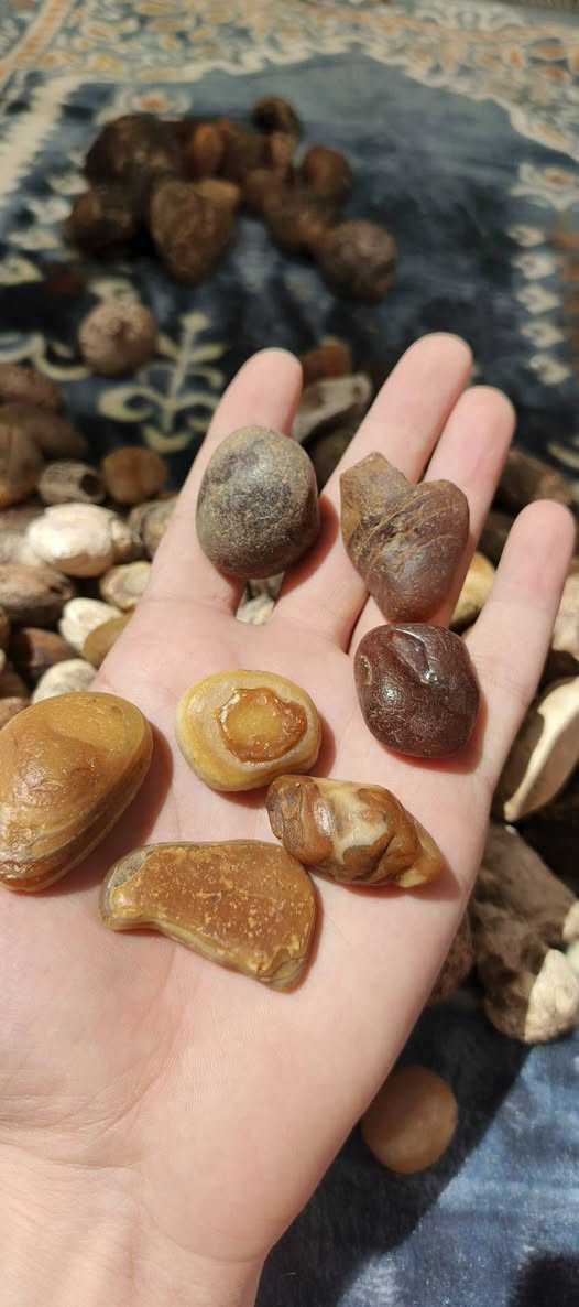 جملة قطعة على ألف بيع شلع أكثر من ١٢٥ قطعة مال بثوث ومزادات خير من الله شغلة بس إني ما الحك


**إذا كنت صاحب هذا الإعلان وتريد حذفه لأي سبب، رجاءا أرسل رسالة إلى الدعم الفني**