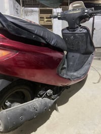 فراشه فحل • سلف هندر إشارات • حي الايمام