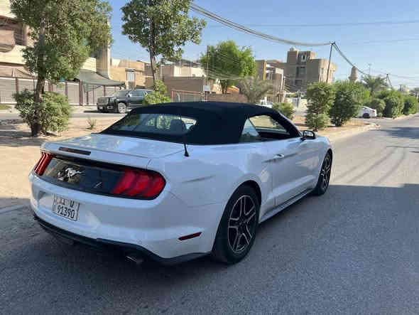 السلام عليكم 
موستنك موديل ٢٠٢٣ لون ابيض 
 فول مواصفات قماره كشف 🏎️
محرك 4 سلندر توربو  و كشنات كهربائية وتحكم ستيرن و شاشة +كامره خلفيه 
حادثها بسيط بدون ايرباك 
صبغ بيها بس راس البنيد ورأس الجاملغ 
العنوان : بغداد -  السيديه 
رقم تلفوني للاستفسار واتساب 
***********‬
سعرها ١٨٥
ترهم مراوس
