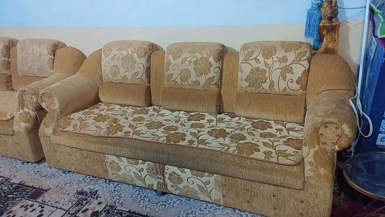 تخم قنفات البيع السعر 75الف العنوان بعقوبه


**إذا كنت صاحب هذا الإعلان وتريد حذفه لأي سبب، رجاءا أرسل رسالة إلى الدعم الفني**