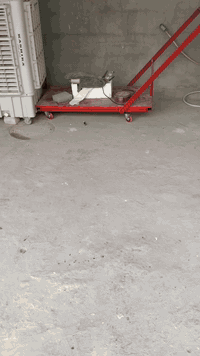 غراض مستخدمة للبيع بسعر مناسب
*********** بغداد
