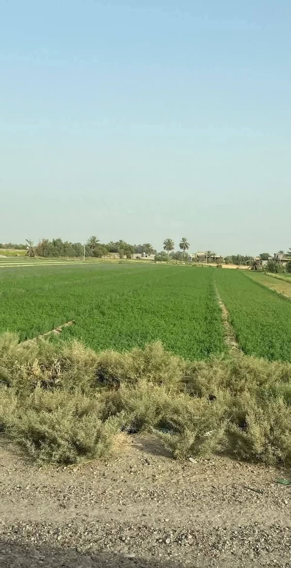 🌟 دوانم راقية الك ولعائلتك 5نجوم🌟
🔍 تبحث عن الهدوء والابتعاد عن زحمة المدينة والضوضاء؟ 🤔 لدينا الحل! دوانم طابو زراعي سنة 25، تحويل وفتح بيان مباشر باسم المشتري، وبدون دفع أي فلس إذا لم ينفتح البيان باسمك وتستلم سند 😊.
🏞️ _الموقع_:
- الدوانم كلها بالقرب منها مزارع وشاليهات وفلل 🏠
- مواقع مرتبة وكلش راقية 💯
- أرض خصبة 🌾
- مثالية للسكن والاستجمام 🌳
- دوانم الك ولعائلتك لإنشاء المزرعة او مكان للترفيه 🏞️
💰 _الأسعار_:
- تبدأ من 7 مليون دينار عراقي 🚀
- تصل إلى 30, 40, 50 مليون دينار عراقي 💸
🌟 _فرصة استثمارية_:
- للسكن 🏠
- للزراعة 🌾
- لبناء مزرعة لك ولعائلتك 🏞️
التاجي ذراع دجلة منطقت الشيخ عامر 
ليحب ياخذ لوكيشن الارض يتصل ويدلل 

📞 _للاستفسار_:***********
٧٧٦٠٦٦٦١٦٨٧
 📱
#دوانم_راقية #استثمار_عقاري #مواقع_مميزة #هدوء #راحة
