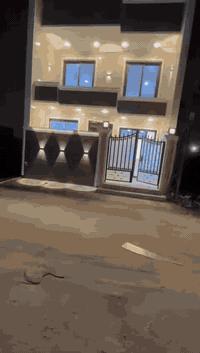 بيت ١٠٠ متر للبيع مجمع الحليم شارع شركه الحسيني ***********
