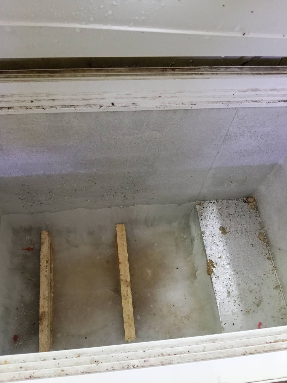 عارضه ومجمدات اثنين للبيع للتواصل *********** شرط شغل
