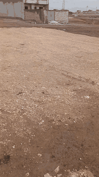 قطعه الارض للبيع زراعي قريه علو مساحه 150 متر واجهه 7:50 نزال 20 متر استفسار تواصل بالرقم ***********
