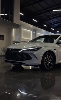 QIN L • ٢٠٢٥ • شحن سريع