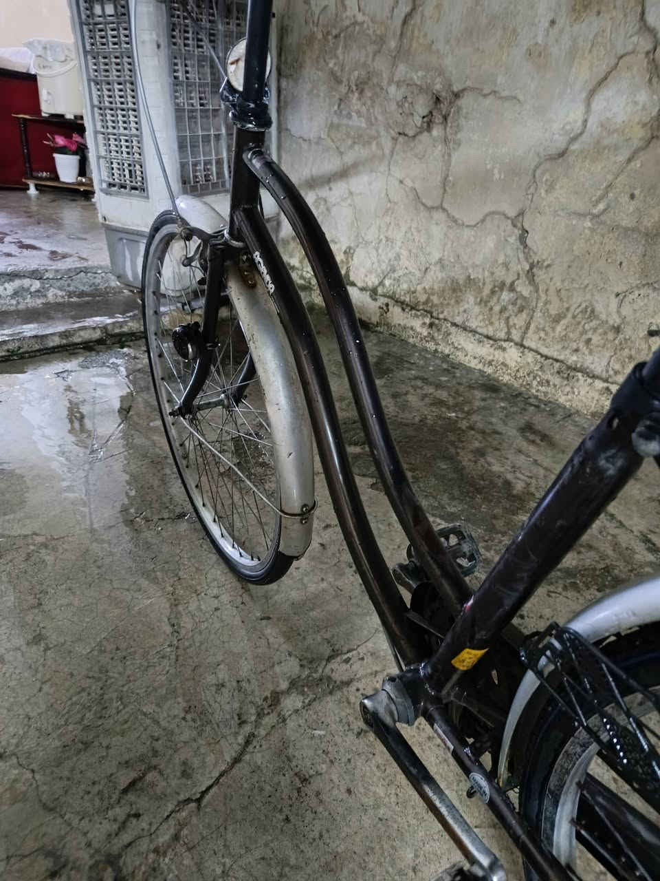 السلام عليكم شباب عندي بايسكل لبيع أي عيب مابي  طيرات جديد بايسكل  نضيف جداً  نريد اخليه يخابر على هاي الرقم*********** 🥰😍🔢

