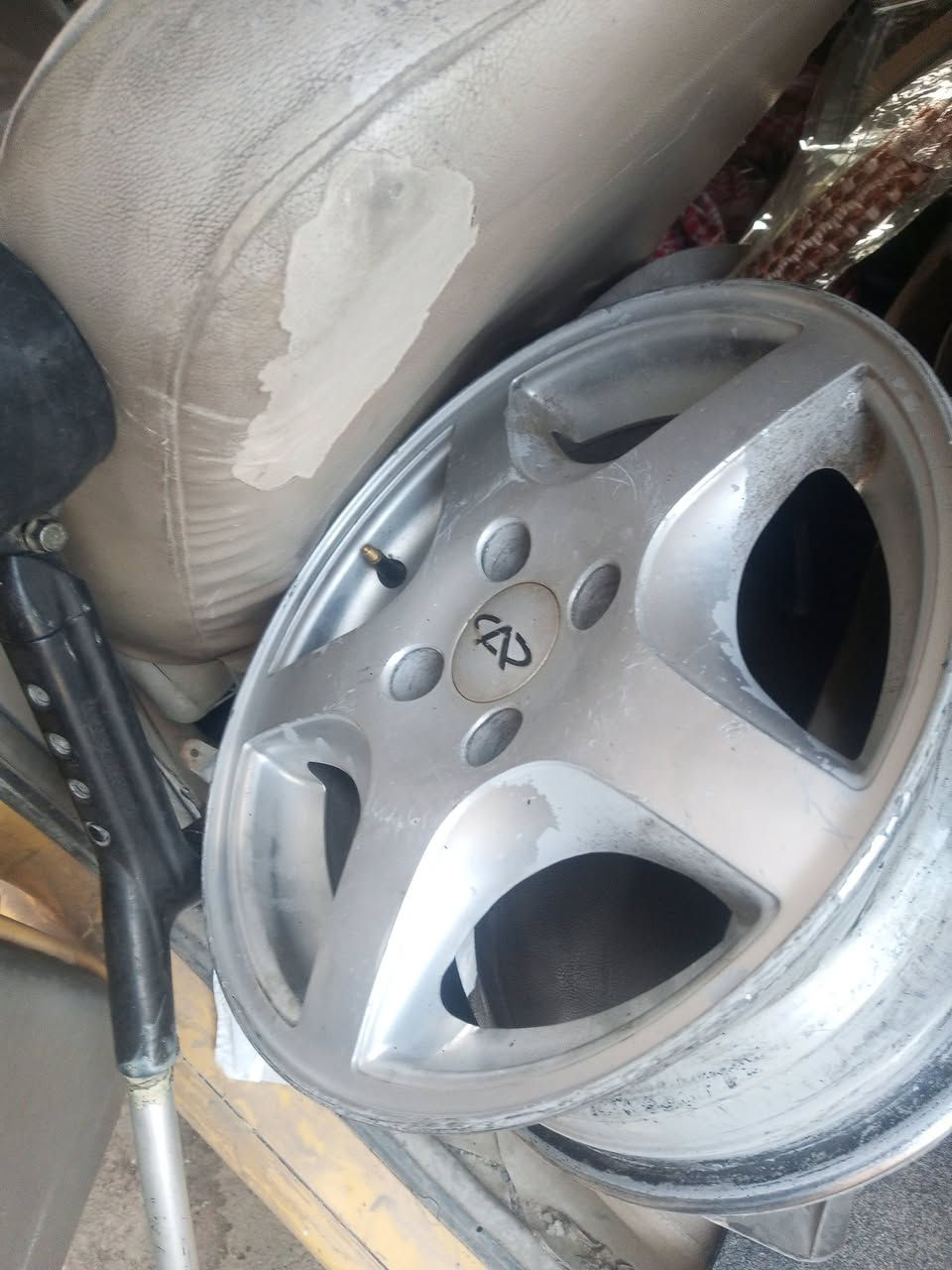 ويل كب للبيع او امراوس بويل اسود مكاني بالاعظمية بالسفينة ***********==***********
