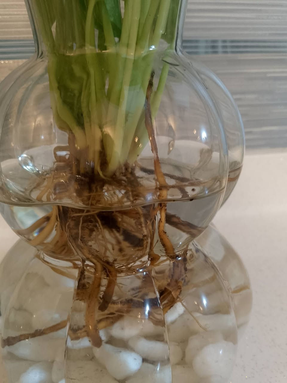 القطعة 8الف نبات مائي


**إذا كنت صاحب هذا الإعلان وتريد حذفه لأي سبب، رجاءا أرسل رسالة إلى الدعم الفني**