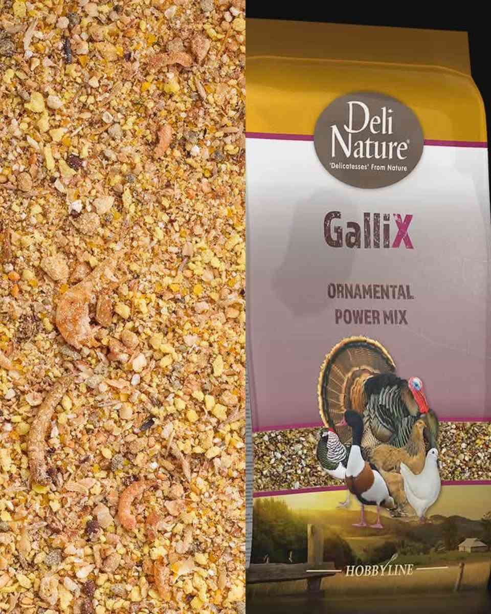 متوفر اعلاف الدجاج البياض من شركة Beli nature
البلجيكيه 
‏أعلاف ￼ وباتيات خاضعة للفحص المختبرية تحتوي على العديد من العناصر المفيدة والمهمة التي تحتاجها 
‏حياتها من أجل الكفاءة العالية
‏يتوفر توصيل لجميع محافظات العزيزة
***********
