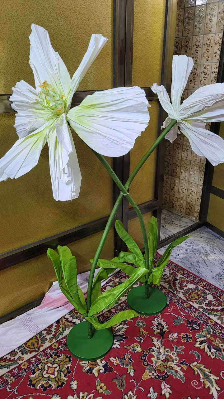 ٣٥


**إذا كنت صاحب هذا الإعلان وتريد حذفه لأي سبب، رجاءا أرسل رسالة إلى الدعم الفني**