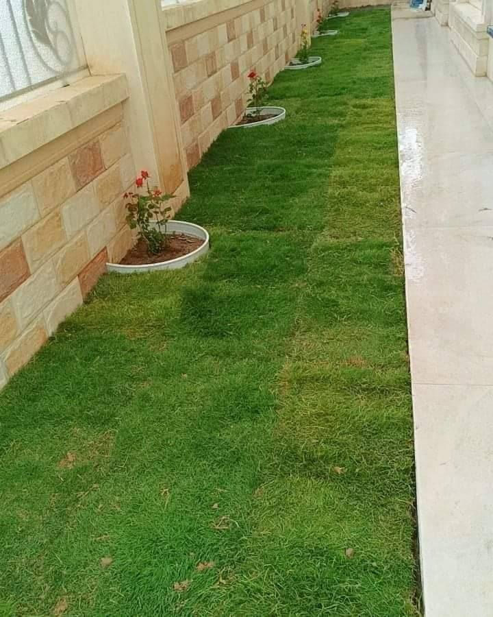 🍀متوفر كافة انواع الثيل🍀 
الثيل امريكي والهندي والايطالي والفرنسي
كادر متخصص :
لتجهيز... مشاتل🌴
والدوائر حكوميه🏦
منازل🏡 منتزهات🏄
موجود خدمة توصيل 🚕🚕
لكل محافظات العراق 
للطلب التواصل مع الصفحة او الاتصال على :؀واتساب   
***********
***********
