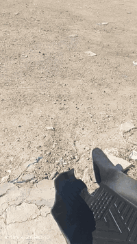 السلام عليكم
من رخصت مدير الكروب المحترم 
فيديو توضيحي للمنتجات الموجودة 
العنوان بغداد البياع حي الحسين مقابل محطة وقود حي العامل مجاور زنود الست حلوياتي بلتقاطع السريع 
***********
