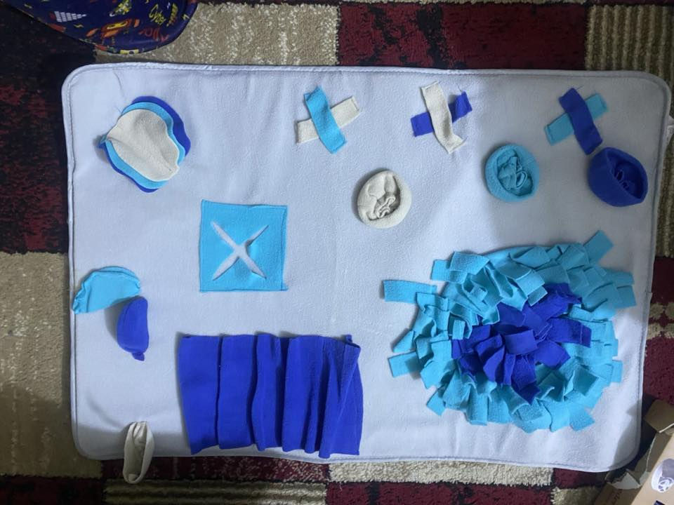 اغراض قطط


**إذا كنت صاحب هذا الإعلان وتريد حذفه لأي سبب، رجاءا أرسل رسالة إلى الدعم الفني**