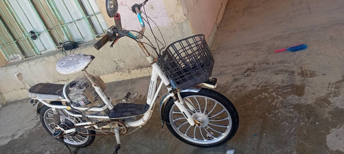 سلام عليكم اخوان موطور شحن للبيع ناقصه بس بطاريات و كشن  سعر خاص


**إذا كنت صاحب هذا الإعلان وتريد حذفه لأي سبب، رجاءا أرسل رسالة إلى الدعم الفني**