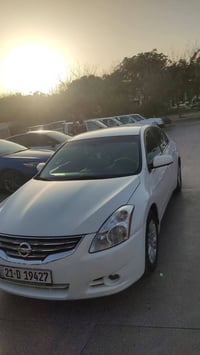 التيما • ٢٠١٠ • رقم سليمانيه