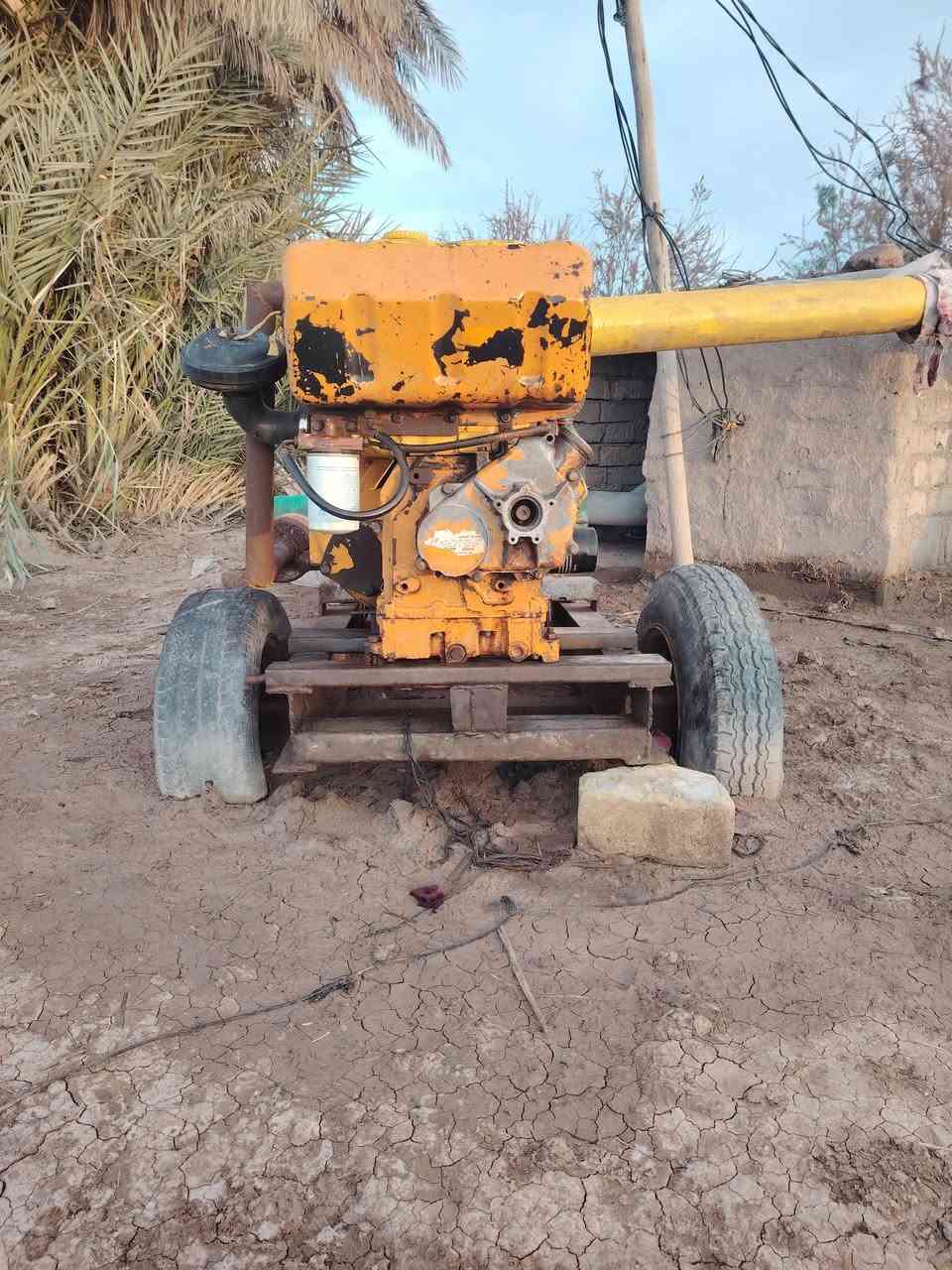 السلام عليكم محرك لستر بتر جاهز للعمل لاتبخير ولاتنقيص خنزيره فيتنامي 6*5 السعر 13 ورقه وبي مجال مكان كوت دجيلي استفسار ***********
