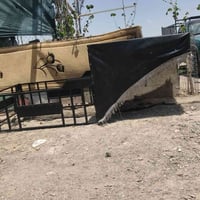 جنج سليمانيه للبيع السعر 75 قفل شراي خابرني 07726964222