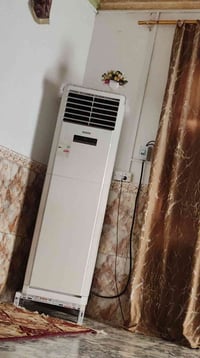 سبلت • ٣ طن • للبيع