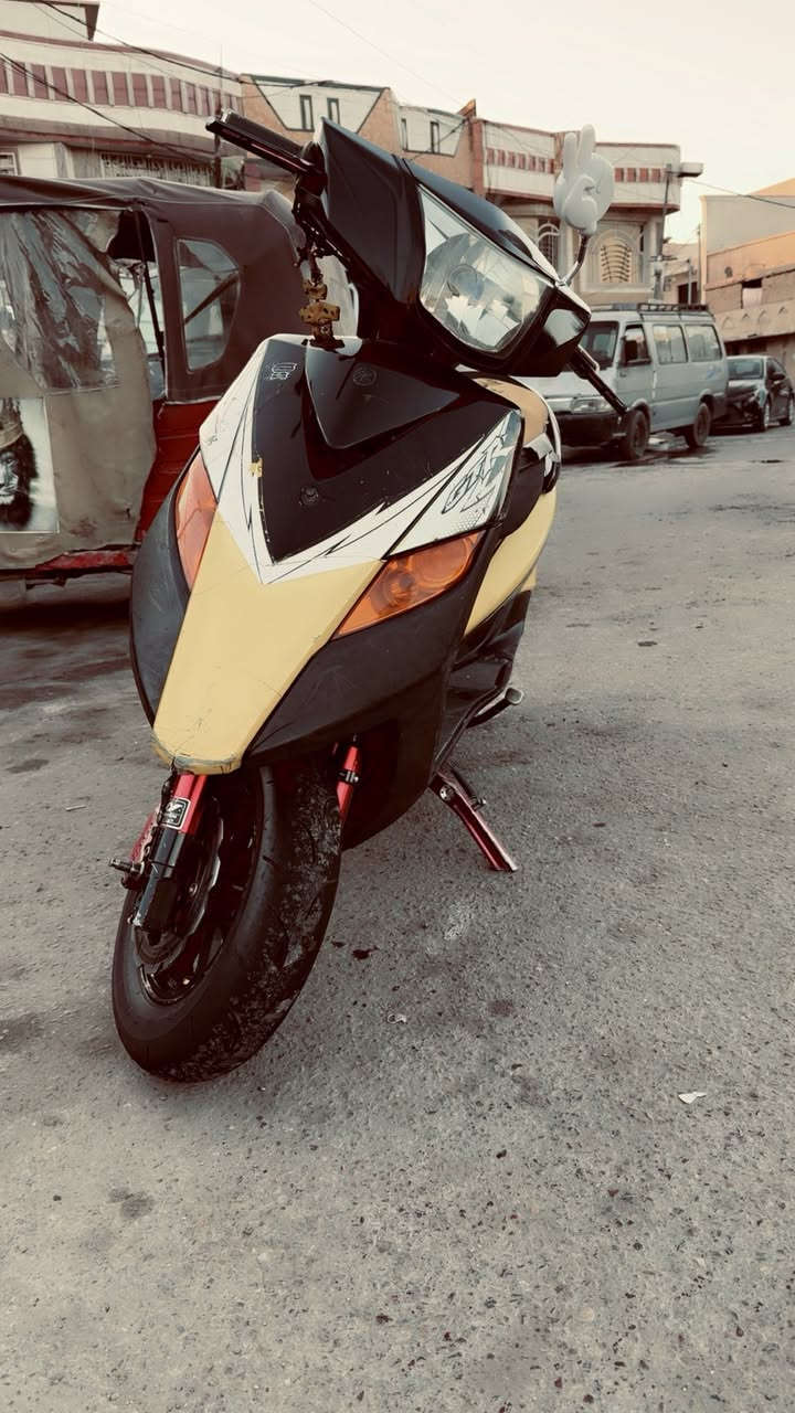 سلام عليكم ثعلب المراوس او بيع عادي بدون نطايح استفسار اكثر خاص ♥️ ***********
