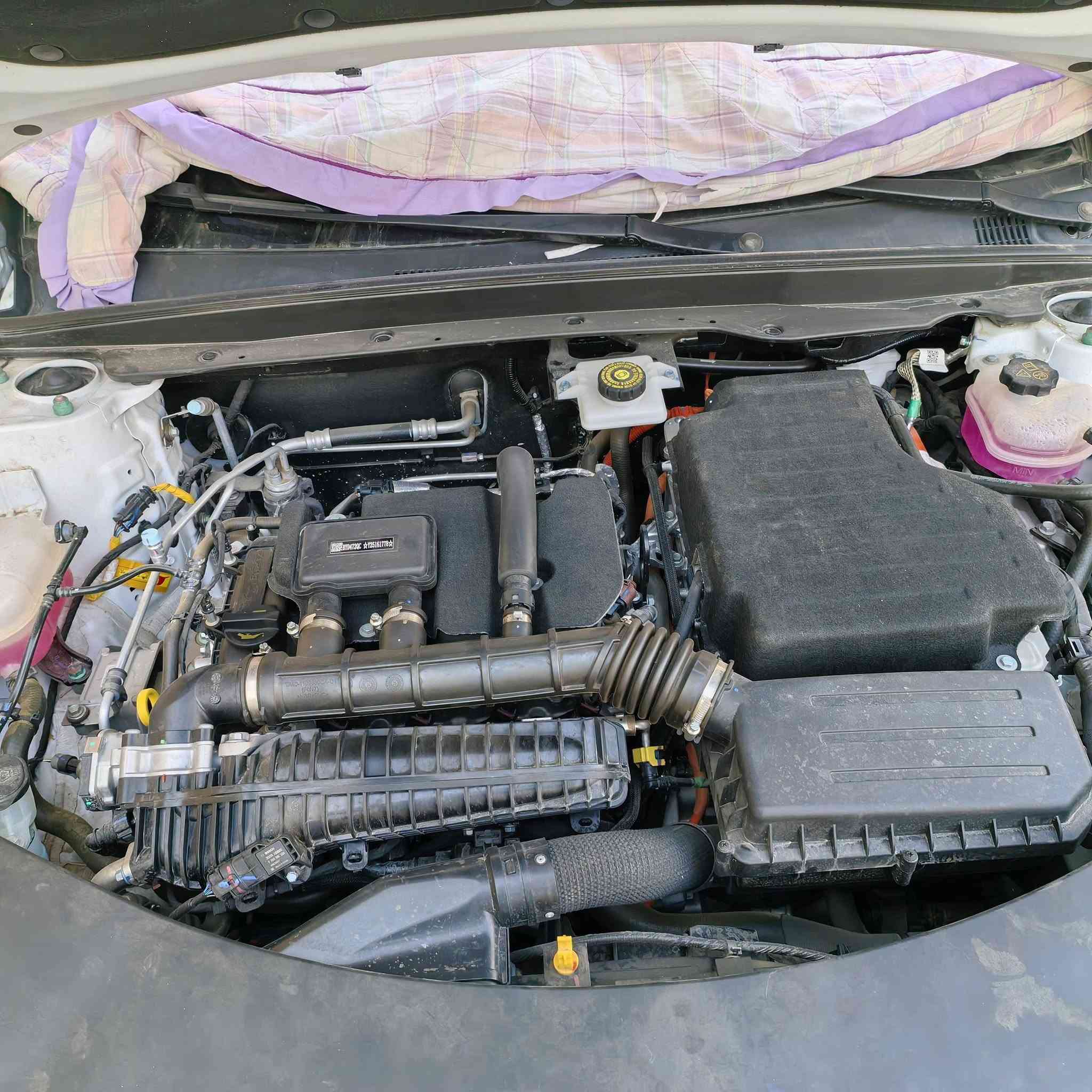 السلام عليكم byd Qin plus موديل 25 سيارة نظيفة جدا ماشيا 5000 مكفولة كفالة عامة عدا عندي صوت بين المحرك الكهربائي كير ماادري وعزم السيارة شوية قل ما اعرف شنو السبب بيه ارضيات وغلاف ستيرن وغطا دشبول وياه سبير جديد الاصلي مال الشركة نفس الي بيه وياه جك كله جديد وجادر ويا عارضه 18 مليون وبيها مجال وبيها مجال لجادين سيارة رقم بغداد  مكاني الزعفرانية بغداد
*********** موجود واتس
