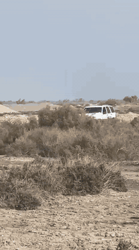 السلام عليكم ابيع كوم حديد
جيب شيروكي كراند موديل 1994 مكينة 2500vvt رقم ميسان سنويه منتهيه راعي بالعماره ماندله 

اكرر ابيع كوم حديد اتكفل سرقة وعشائر فقط

السعر 16ورقة

العنوان البصرة القرنة ***********
