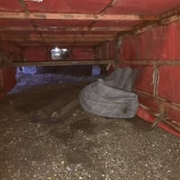 محجل +اكسن +ورق+ويل وتايات عدد٢+كزوز +دبلات+كير بوكس التواصل 077455212...