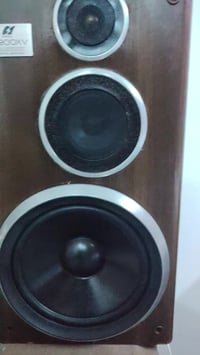 سانسوي • ١٥٠واط • صوت نقي