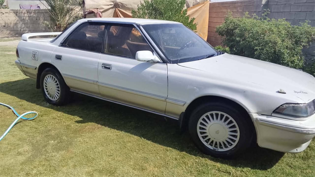 سلام عليكم مرك شطح مستعجل على بيعتهه مكفوله من ضربه وصبق سعر ٤٥مكاني ديالى شهربان ***********
