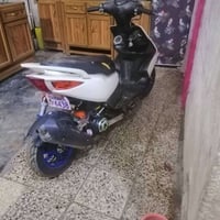 من رخصة الادمن للبيع 07771234723 او مراوس