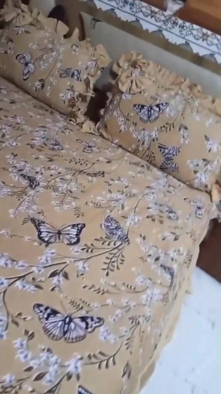 خياط اليوم  حسب الطلب❤️بالعافية


**إذا كنت صاحب هذا الإعلان وتريد حذفه لأي سبب، رجاءا أرسل رسالة إلى الدعم الفني**