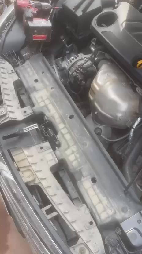 هورنات بوش جنح كنر الماني  اصلي 
عوزهن بس تقسيم 
للاستفسار 
***********
بغداد
السعر 600 الف
