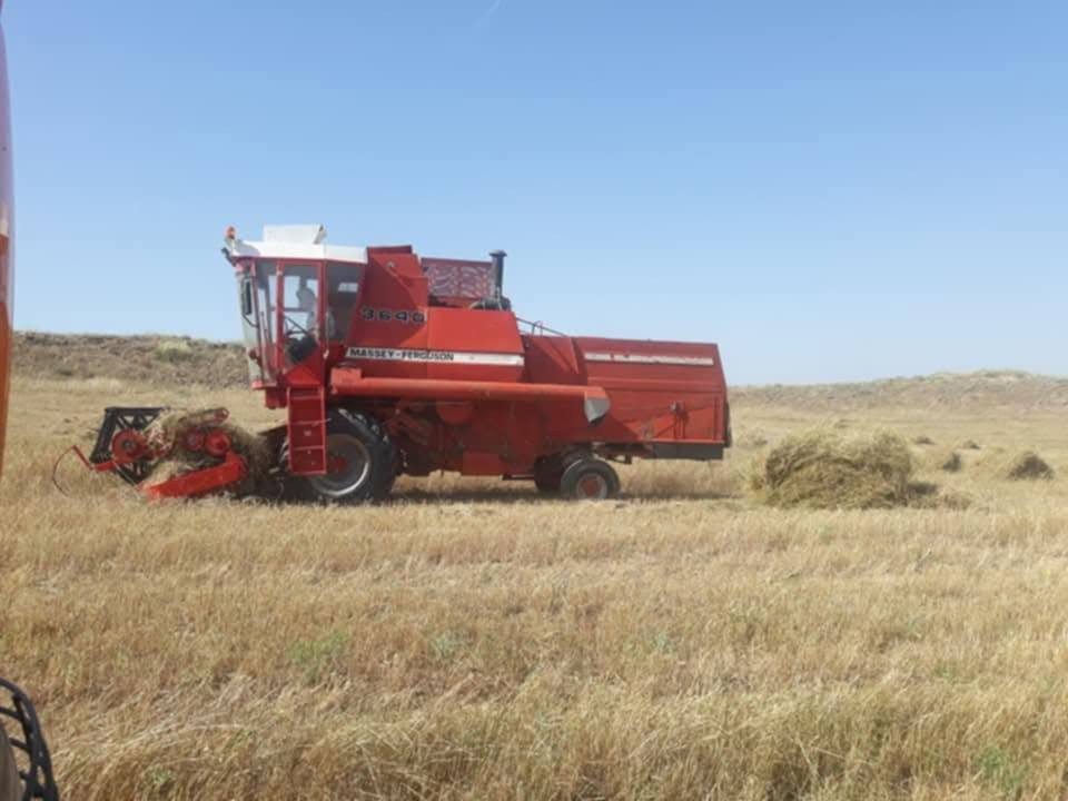 سڵاو دەراسە فەرگەسن مۆدێل ۹۱رەقم کەرکوك بۆفەرۆشتن ‌ژم***********
