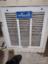 مبرده • حجم وسط • شغاله
