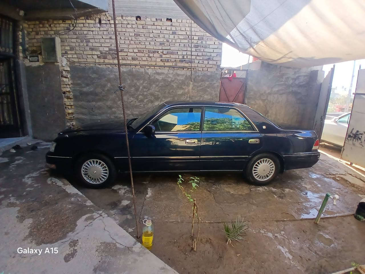 راس الثور افلات بيه قطعتين صبغ مكفوله ضربه وكص واصولايات مكان بابل سعر ٨٢ وبيه مجال ***********
