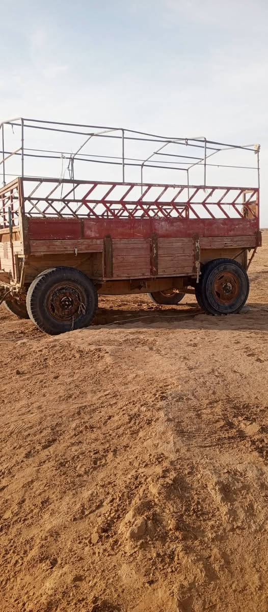 عربانه للبيع 
وواتساب واتصال ***********
مكانها ببعاج مجمع الجغيفي 
مو شراي لاتتعبن ولا اتعبك

