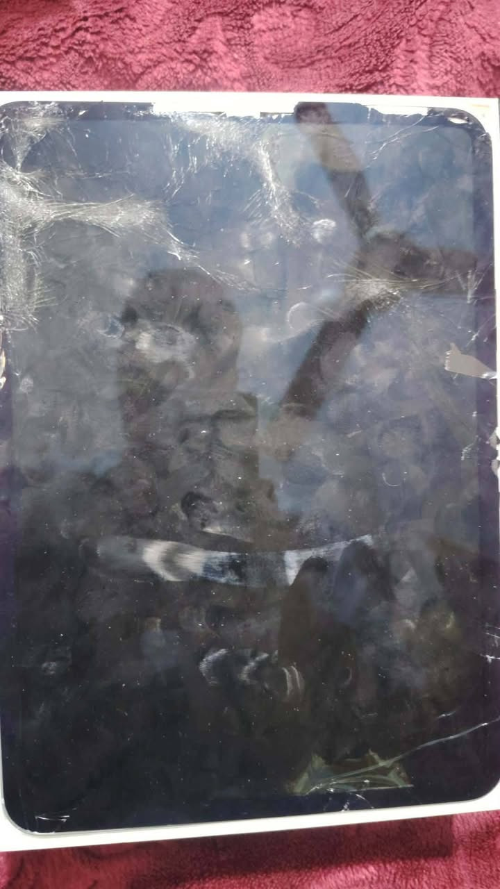 السلام عليكم ايباد m4 11 انج 256 2024 كارتونته وشاحنته موجوده شاشه طافيه كلش وبي ضربات نفس ماموضح بصور بطاريته ٩٩ شرط الشغل
السعر ٤٠٠ الف وبي مجال جدا قليل يرهم مراوس


**إذا كنت صاحب هذا الإعلان وتريد حذفه لأي سبب، رجاءا أرسل رسالة إلى الدعم الفني**