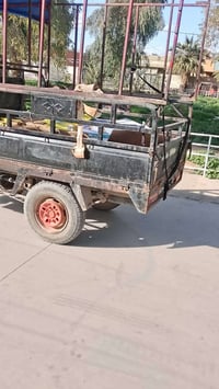 ستوته • موديل 14 • داقواق