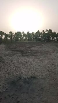 ٣٠٠٠م • طابو زراعي • شارع الربط