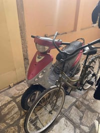 ماكس منغولي • معدل • نجف