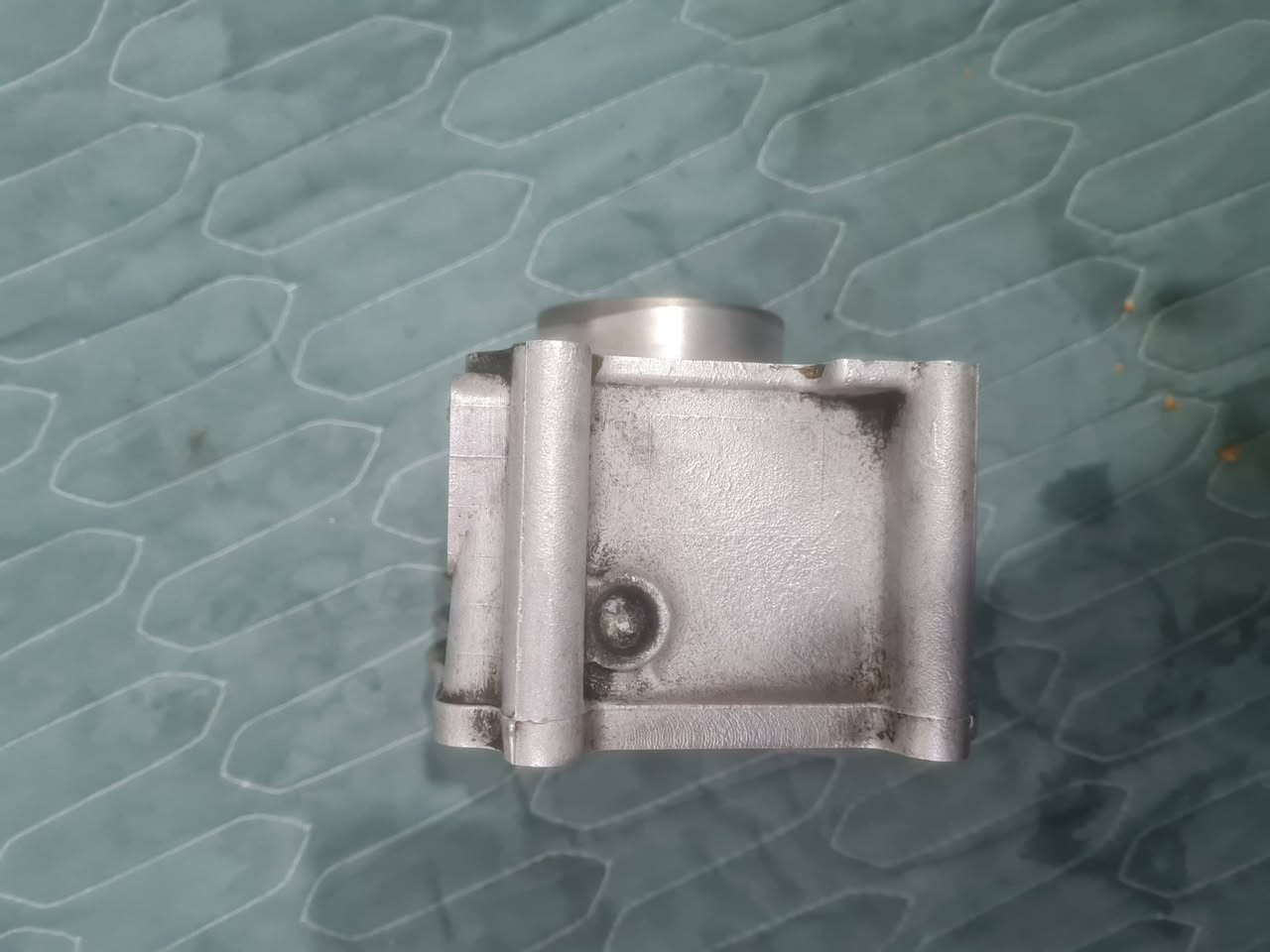 سلام عليكم غراض تزويد اصلي 
1 بوشة سكنس فحل قياس 58 رياضي اصلي مال رمبة 
2 دبلات خلفية سكنس فحل سكنس نثية سكنس جبلي و سكنس عام و ثعلب و جي تي ار و 120 و 140
سعر دبلات تك 25 و زوج 45 قفل واحد لون كرزي 🍒 و ثاني ذهبي 
بوشة اصلي مال رمبة قياسها 58 رياضي مال سكنس فحل ما اعرف اذا ترهم لغير دراجة سعر خاص ما يعرف سعر لا يدخل
عنواني بغداد شعلة
توصيل ما عندي
***********
