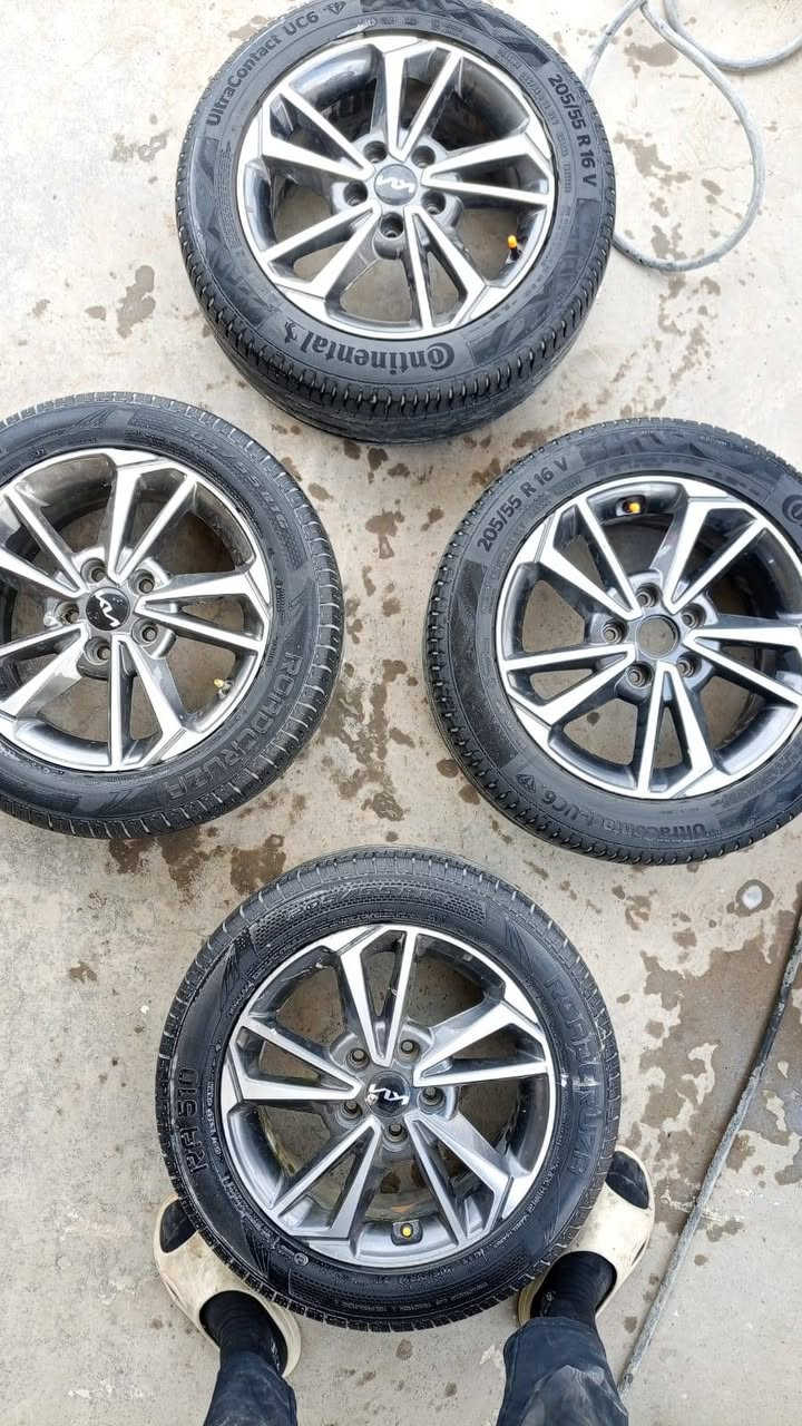 تخم ويل كب فورتي سيراتو اصلي شركة حجم ١٦ بيع أو مراوس اكو ابيع تك العنوان بغداد الشعلة ***********
***********
