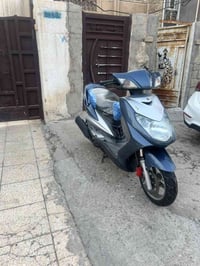 سكنس فحل نوزل كفاله عامه بلاديه برغي ممفوح بيهة سعر مليون و١٠٠ اتصل 07...