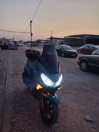 سترونك • ٢٠٢٤ • سلف