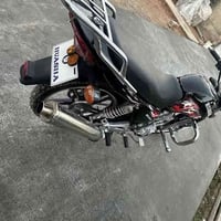 هايوشه ٢٢ • فول أوراق • القائم حصيبه